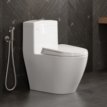 Thiết bị vệ sinh Viglacera của nước nào?